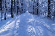img_20221213_112806