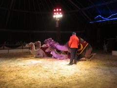 img_0345