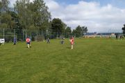 IMG_20200612_094922