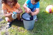 IMG_20170802_085954