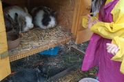 IMG_20210513_154605_1
