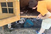 IMG_20210606_130539