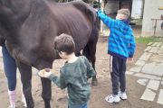 IMG_20210531_154023