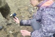 IMG_20210531_155230