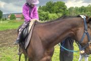 IMG_20210531_170326