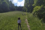 IMG_20200607_142939
