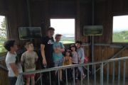 IMG_20200607_144252