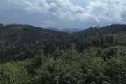 IMG_20200607_144503