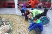 sam_0865