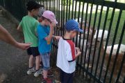IMG_20180609_125658
