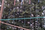 IMG_20180729_155337