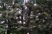 IMG_20180729_155400