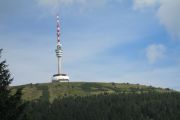 IMG_3664