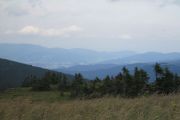 IMG_3718