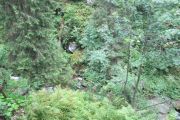 IMG_3790