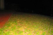 IMG_1258