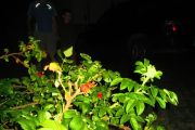 IMG_1261