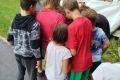 img_20240815_113504
