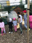 701DB836-C201-4555-B029-1A1FB317C1F7