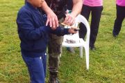 IMG_20170902_105126
