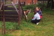 IMG_20170902_105523