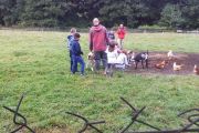 IMG_20170902_110906