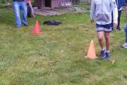 IMG_20170902_135450