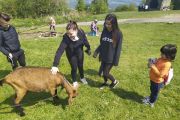 IMG_20200517_135425