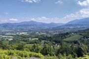 IMG_20200517_140435