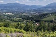 IMG_20200517_140442
