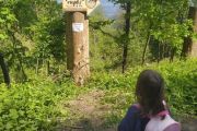 IMG_20200517_141835