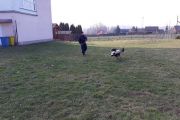 20180315_153332