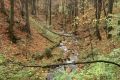 img_6252