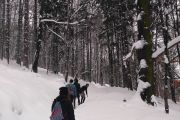 IMG_20190113_135910