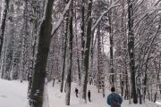 IMG_20190113_140422