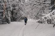 IMG_20190113_140836
