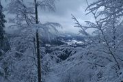 IMG_20190113_141554