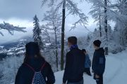 IMG_20190113_141926
