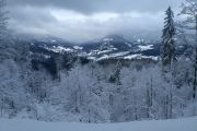 IMG_20190113_142008