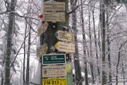 IMG_20190113_145915