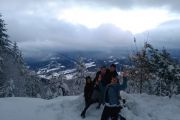 IMG_20190113_153945