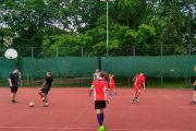 IMG_20170527_122056_HDR