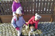 IMG_20210131_143724