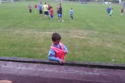 sam_1229