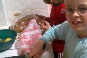 2013-04-20-543