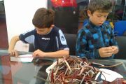 2014-10-11-1512