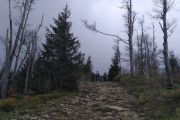 IMG_20170507_152710