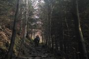 IMG_20170507_154547
