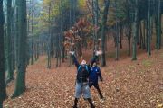 IMG_20171021_155829