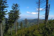 IMG_20190518_094827
